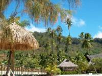 moorea beach comber 6 